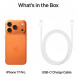 Смартфон Apple iPhone 17 Pro 1 ТБ eSIM, Cosmic Orange в Барнауле