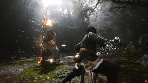 Игра Black Myth: Wukong Deluxe Edition [PS5, русские субтитры] в Барнауле