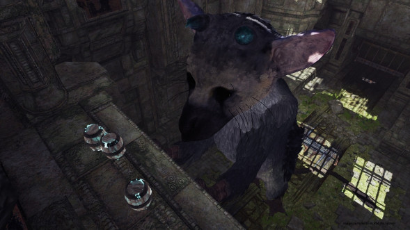 The Last Guardian: Последний хранитель [PS4, русские субтитры] в Барнауле