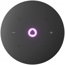 Умная колонка Яндекс Станция Мини 3 Про с Алисой с Zigbee, черный
