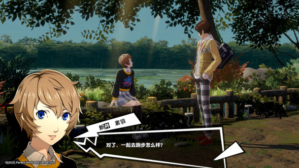 Persona 5 Royal [Nintendo Switch, английская версия] в Барнауле