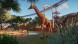 Игра Planet Zoo: Console Edition [PS5, английская версия] в Барнауле
