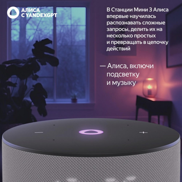 Умная колонка Яндекс Станция Мини 3 c Алисой на YandexGPT, серая в Барнауле