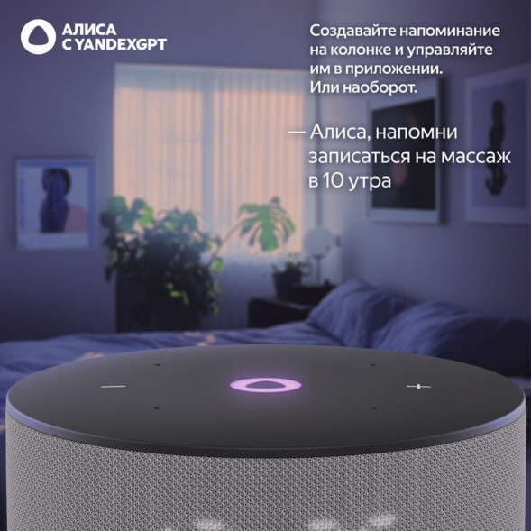 Умная колонка Яндекс Станция Мини 3 c Алисой на YandexGPT, серая в Барнауле