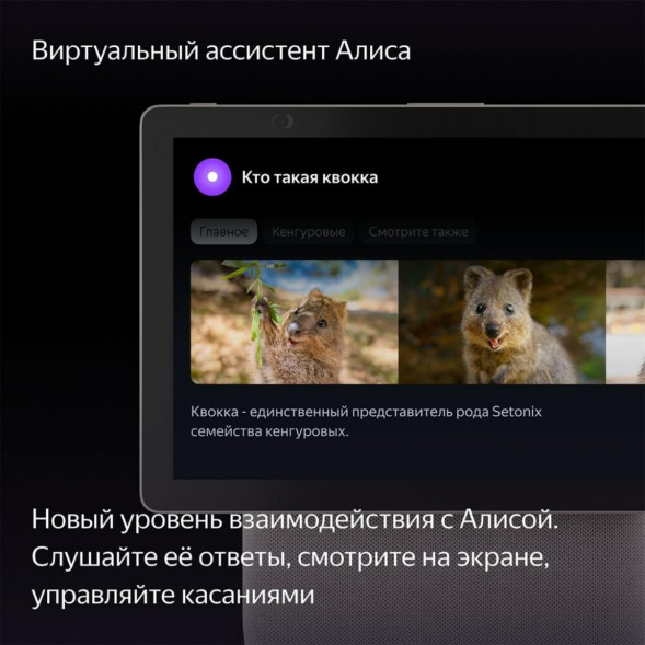 Яндекс Станция Дуо Макс с Алисой, с Zigbee, 60 Вт, бежевый в Барнауле