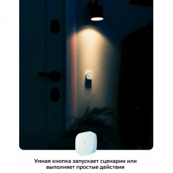 Умная кнопка Sber SBDV-00032