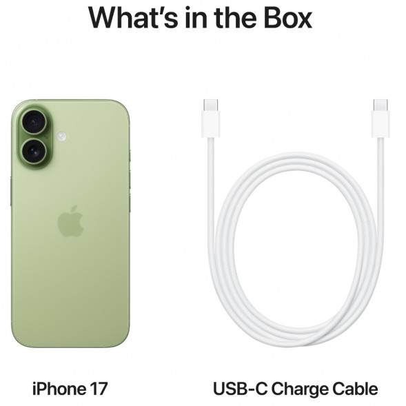 Смартфон Apple iPhone 17 256GB eSim, Sage в Барнауле