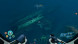 Игра Subnautica: Below Zero [PS5, русские субтитры] в Барнауле
