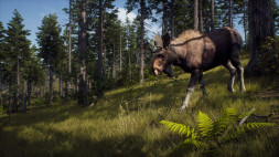 Игра Way of the Hunter [PS5, русские субтитры]
