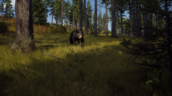 Игра Way of the Hunter [PS5, русские субтитры] в Барнауле