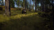 Игра Way of the Hunter [PS5, русские субтитры] в Барнауле