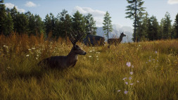 Игра Way of the Hunter [PS5, русские субтитры]
