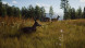 Игра Way of the Hunter [PS5, русские субтитры] в Барнауле