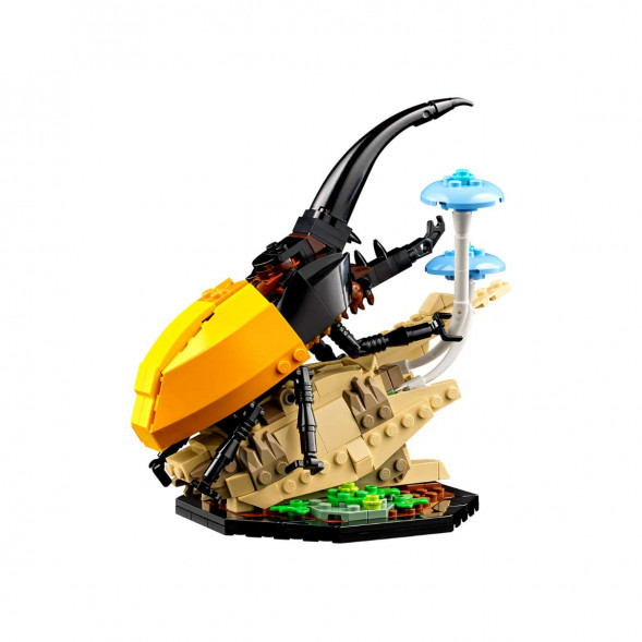 Конструктор LEGO Ideas 21342 Коллекция насекомых в Барнауле