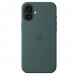 Чехол Apple для iPhone 16 Plus Silicone MagSafe,  Lake Green (MYYH3ZM/A) в Барнауле