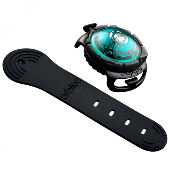 Фонарь для собак Orbiloc Dog Dual Fashion Colours, бирюзовый в Барнауле