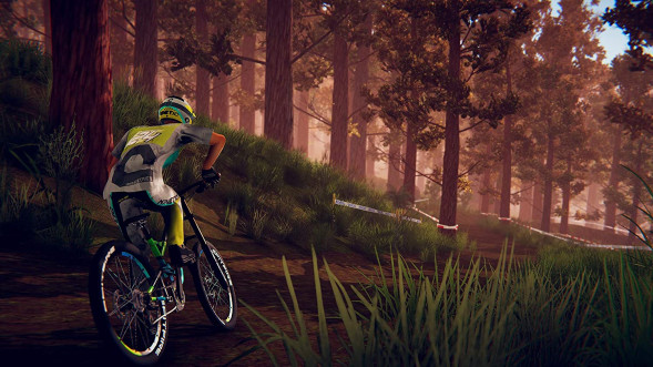 Игра Descenders [Nintendo Switch, английская версия] в Барнауле