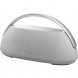Портативная акустика Harman/Kardon Go + Play 3, серый в Барнауле