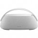 Портативная акустика Harman/Kardon Go + Play 3, серый в Барнауле