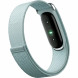 Фитнес-браслет Google Fitbit Air (Серо-голубой/Fog) в Барнауле