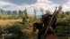 Игра Witcher 3: Wild Hunt (Ведьмак 3: Дикая Охота) Game of the year Edition [PS4, русские субтитры] в Барнауле