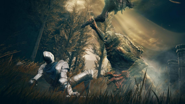 Игра Elden Ring: Shadow of the Erdtree Edition [PS5, русские субтитры] в Барнауле
