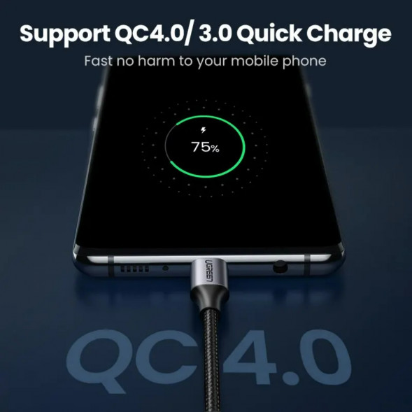 Кабель USB Type-C/Type-C Ugreen 60W, 1 м в Барнауле