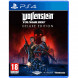 Игра Wolfenstein Youngblood Deluxe Edition [PS4, русская версия] в Барнауле