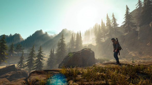 Игра Жизнь После (Days Gone) [PS4, русская версия] в Барнауле