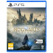 Игра Hogwarts Legacy. Exclusive DLC Astronomers Hat [PS5, русские субтитры] в Барнауле